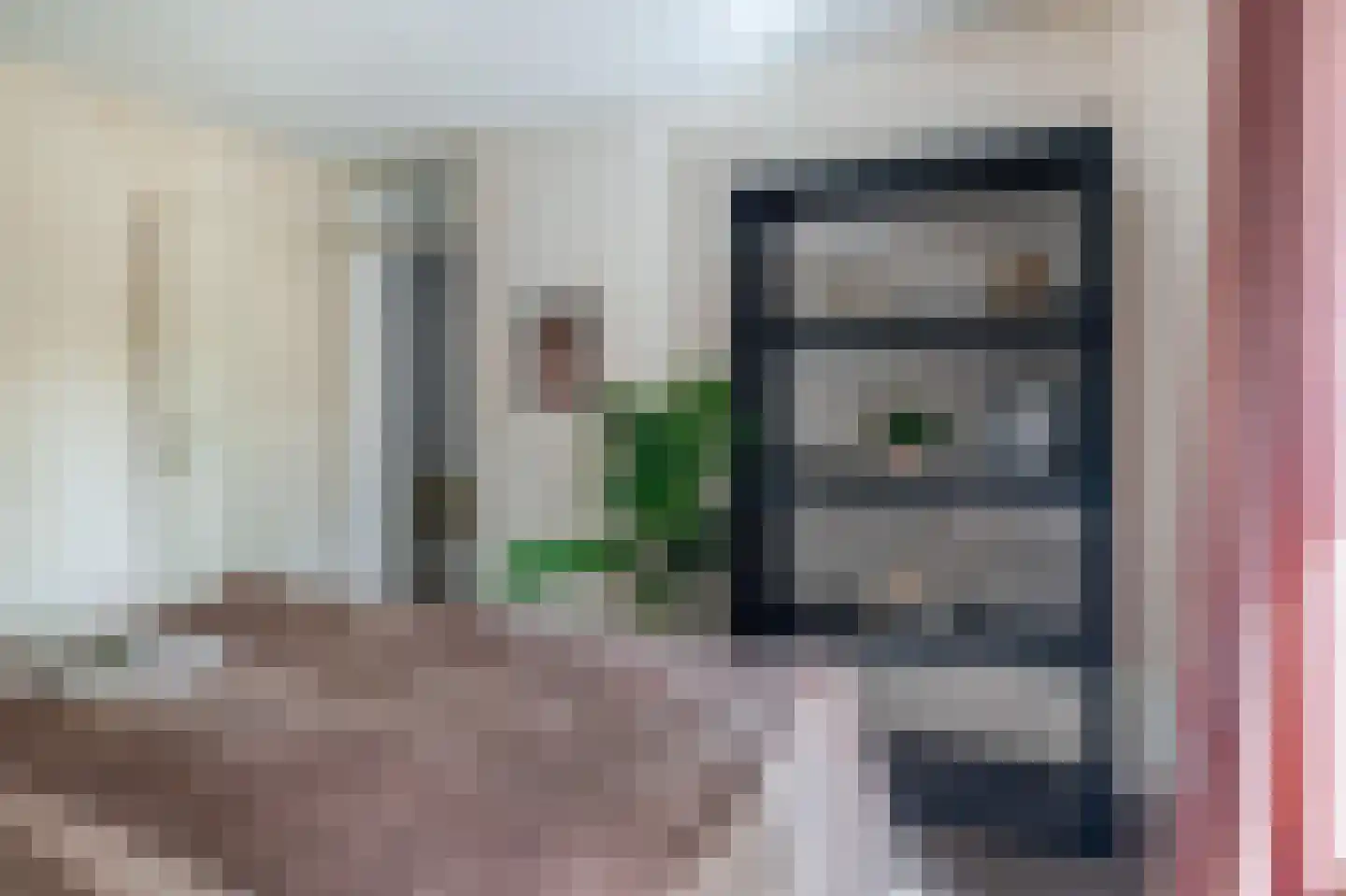 Mereldonk 1 Veghel thumbnail 16