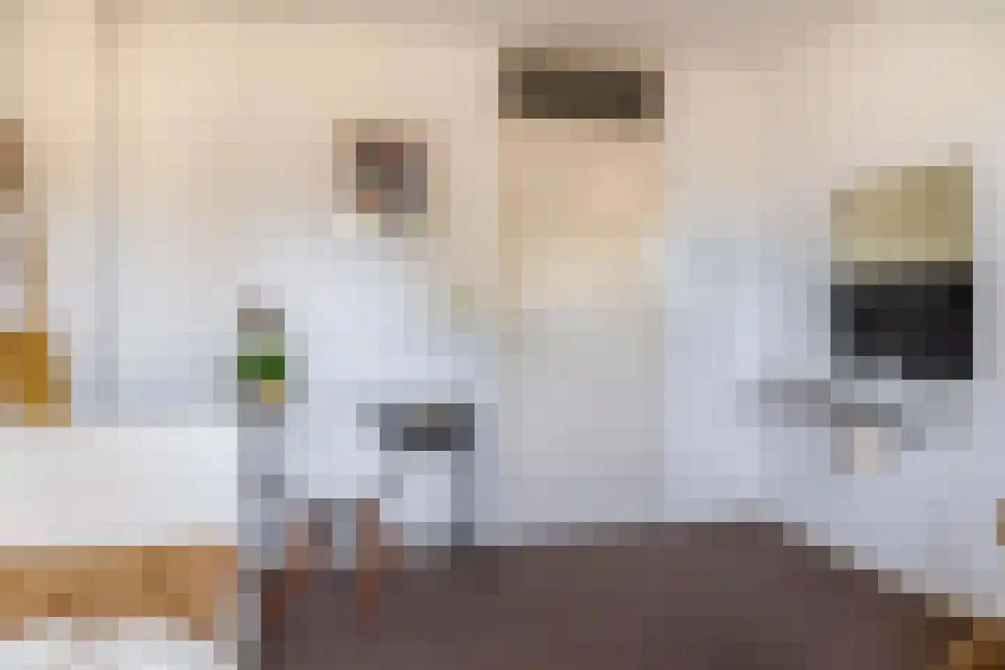 Mereldonk 1 Veghel thumbnail 18