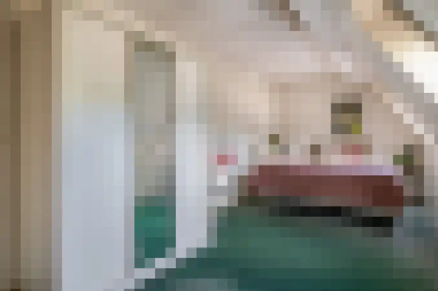 Mereldonk 1 Veghel thumbnail 19