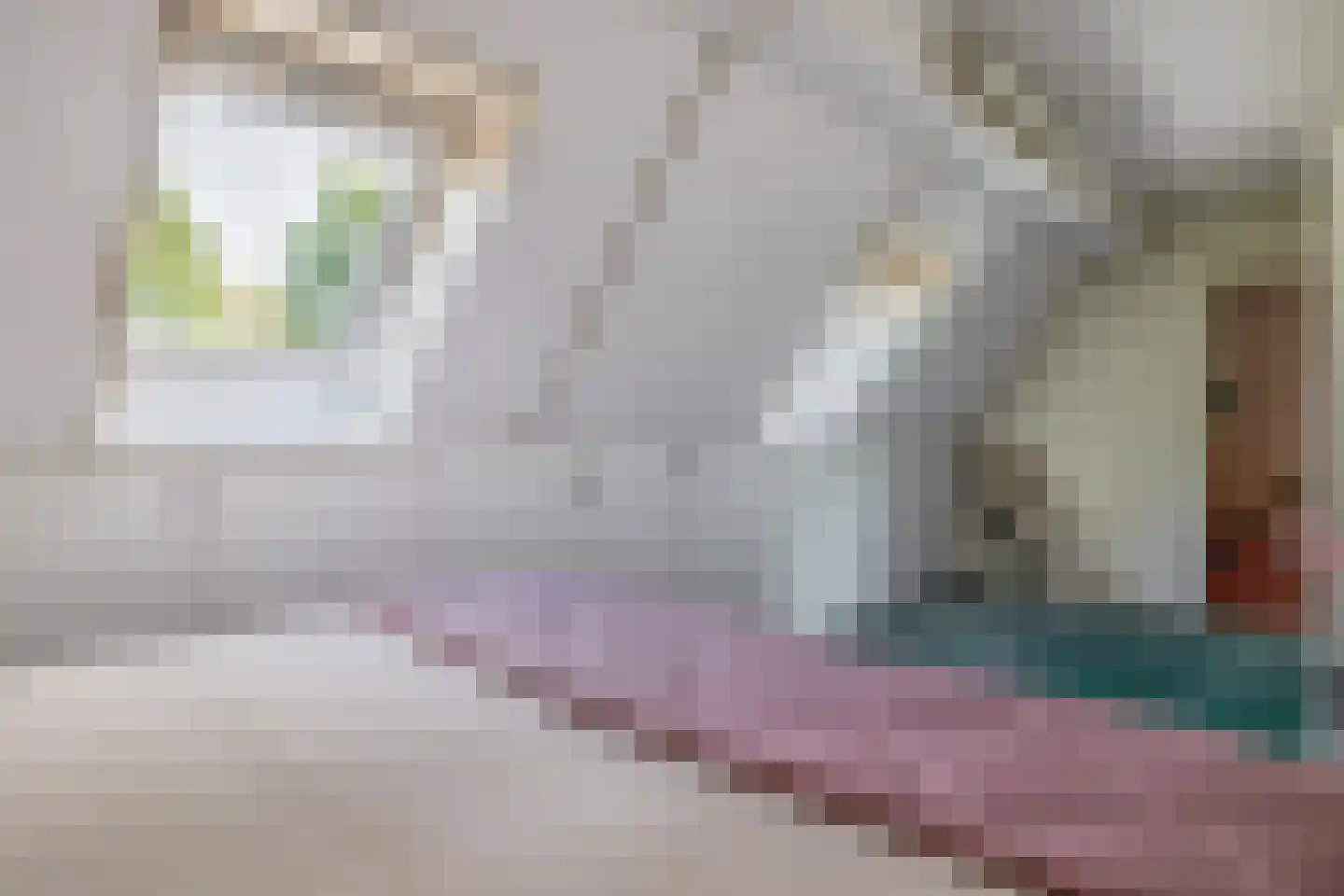 Mereldonk 1 Veghel thumbnail 20