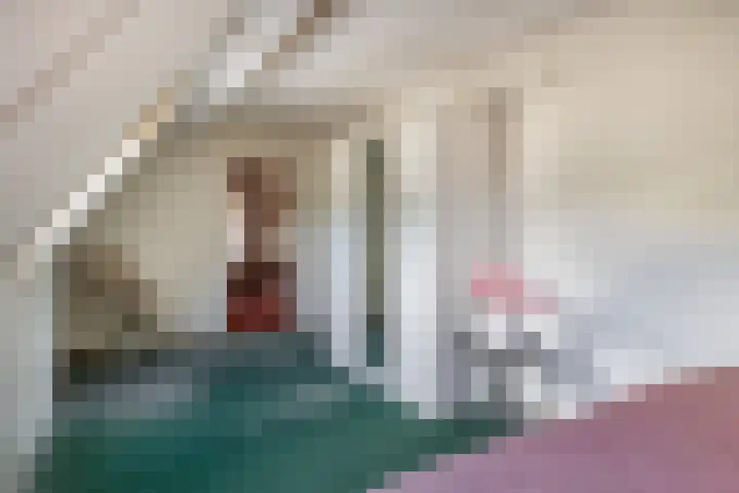 Mereldonk 1 Veghel thumbnail 21
