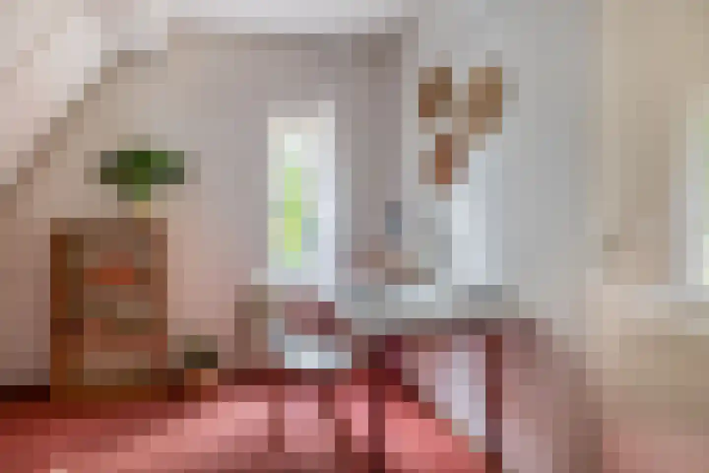 Mereldonk 1 Veghel thumbnail 22
