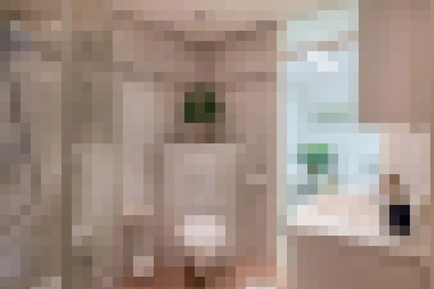 Mereldonk 1 Veghel thumbnail 23