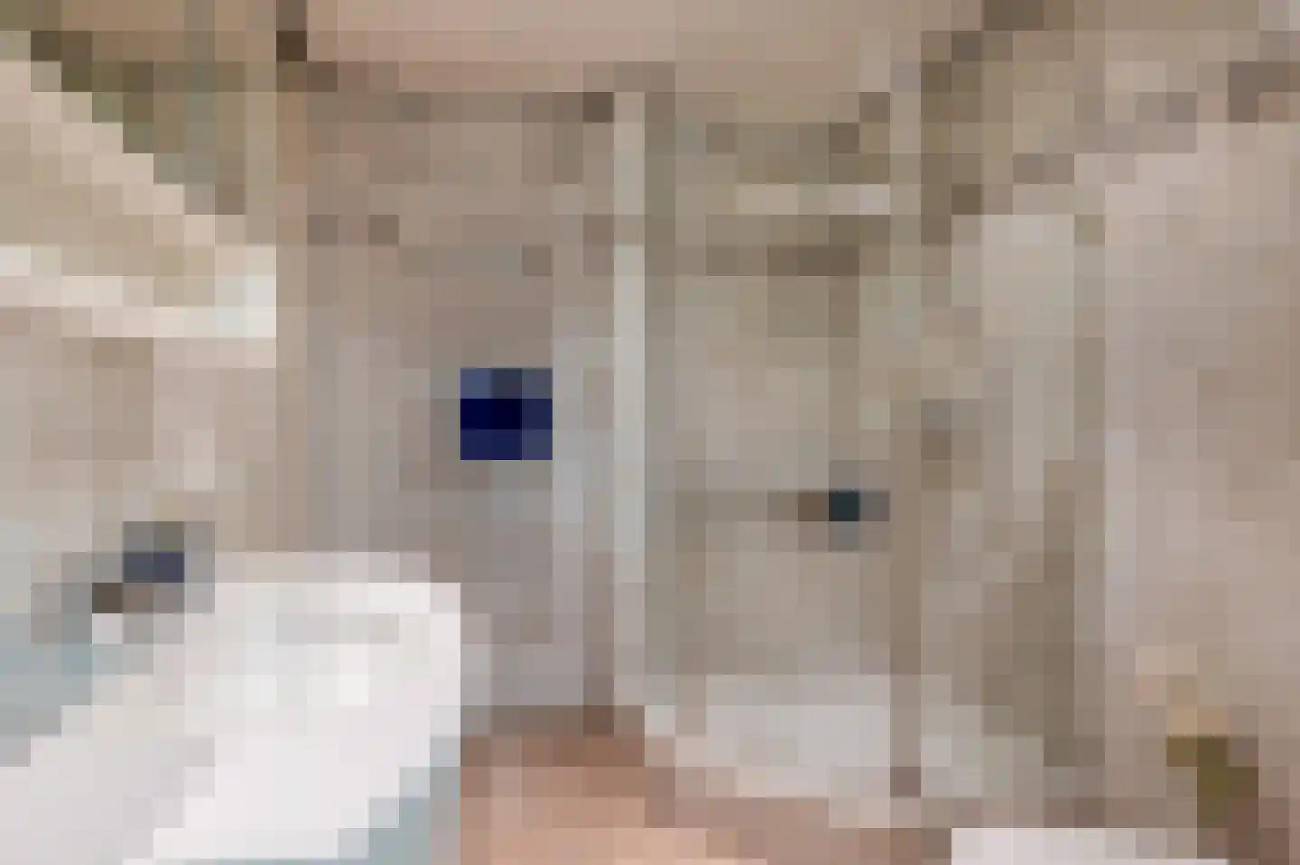 Mereldonk 1 Veghel thumbnail 24