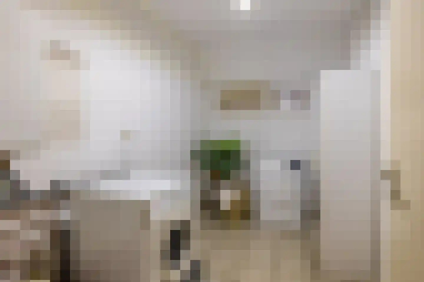 Mereldonk 1 Veghel thumbnail 26