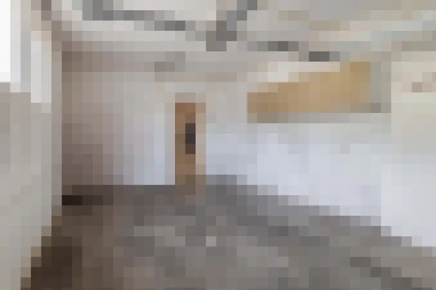 Mereldonk 1 Veghel thumbnail 28