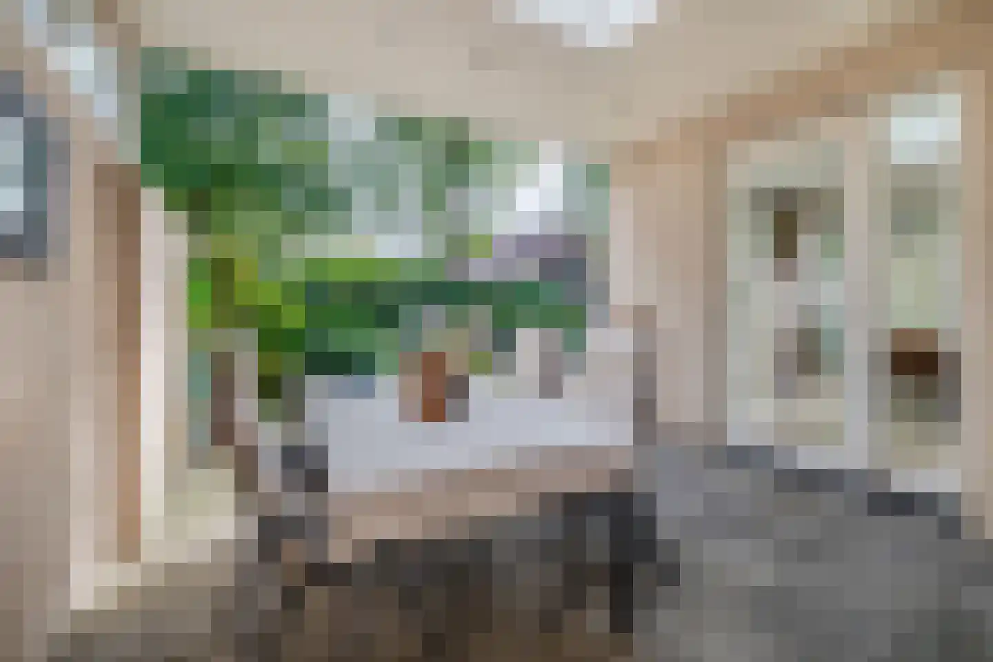 Mereldonk 1 Veghel thumbnail 30