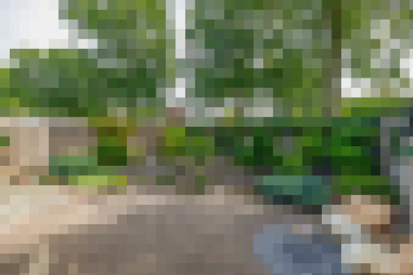 Mereldonk 1 Veghel thumbnail 31