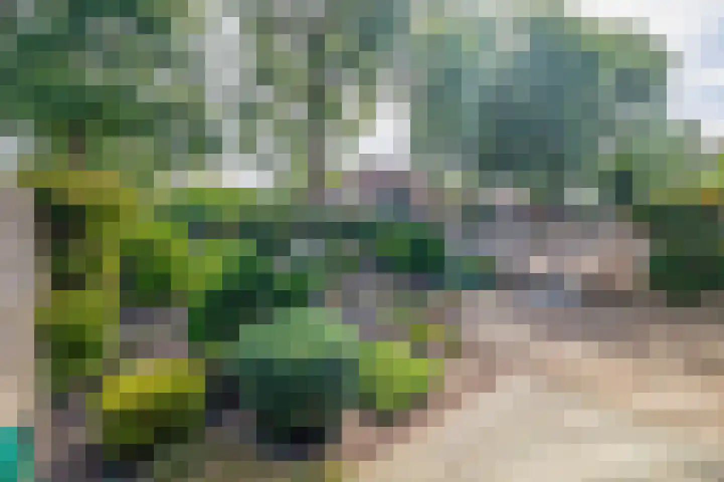 Mereldonk 1 Veghel thumbnail 32