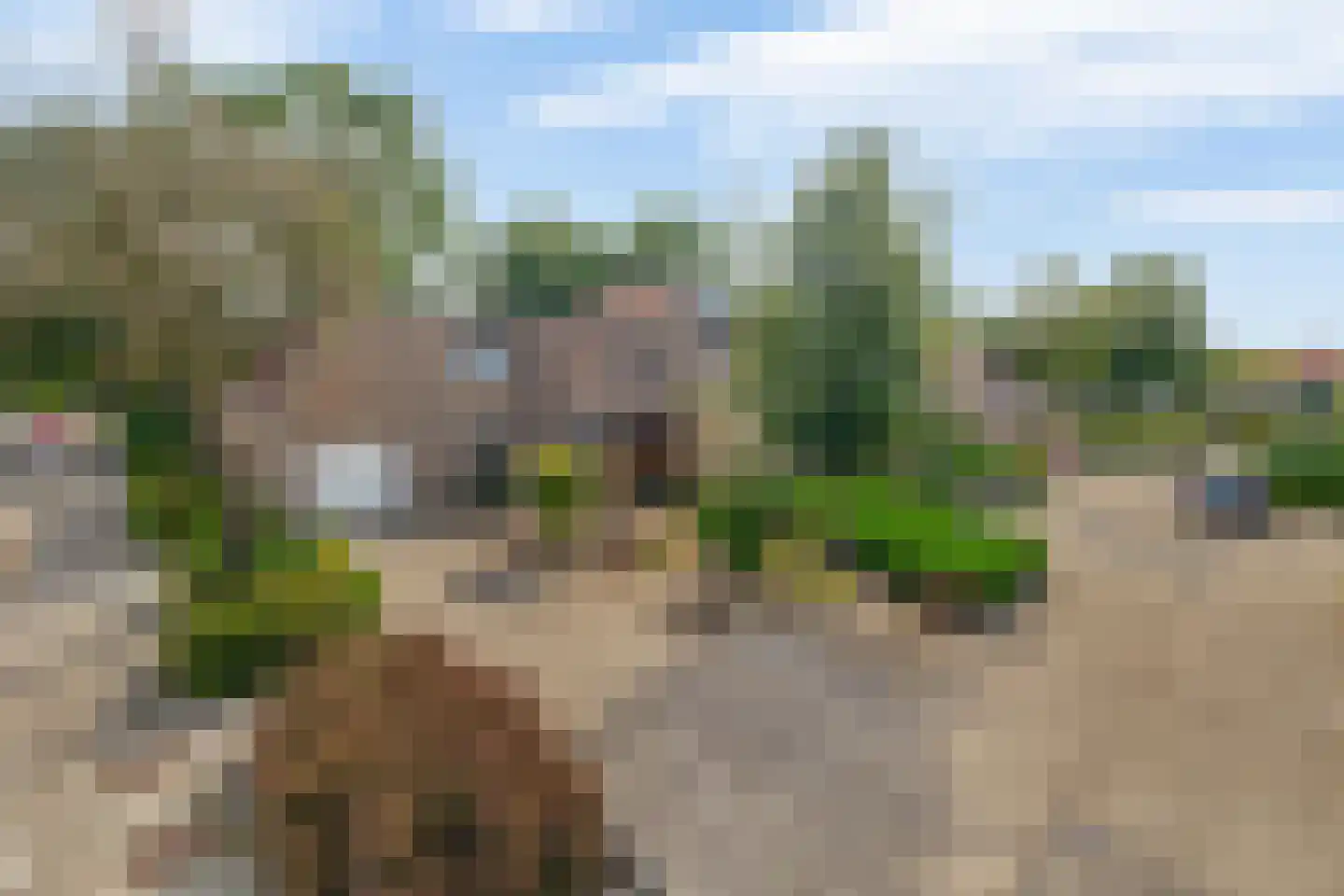 Mereldonk 1 Veghel thumbnail 34