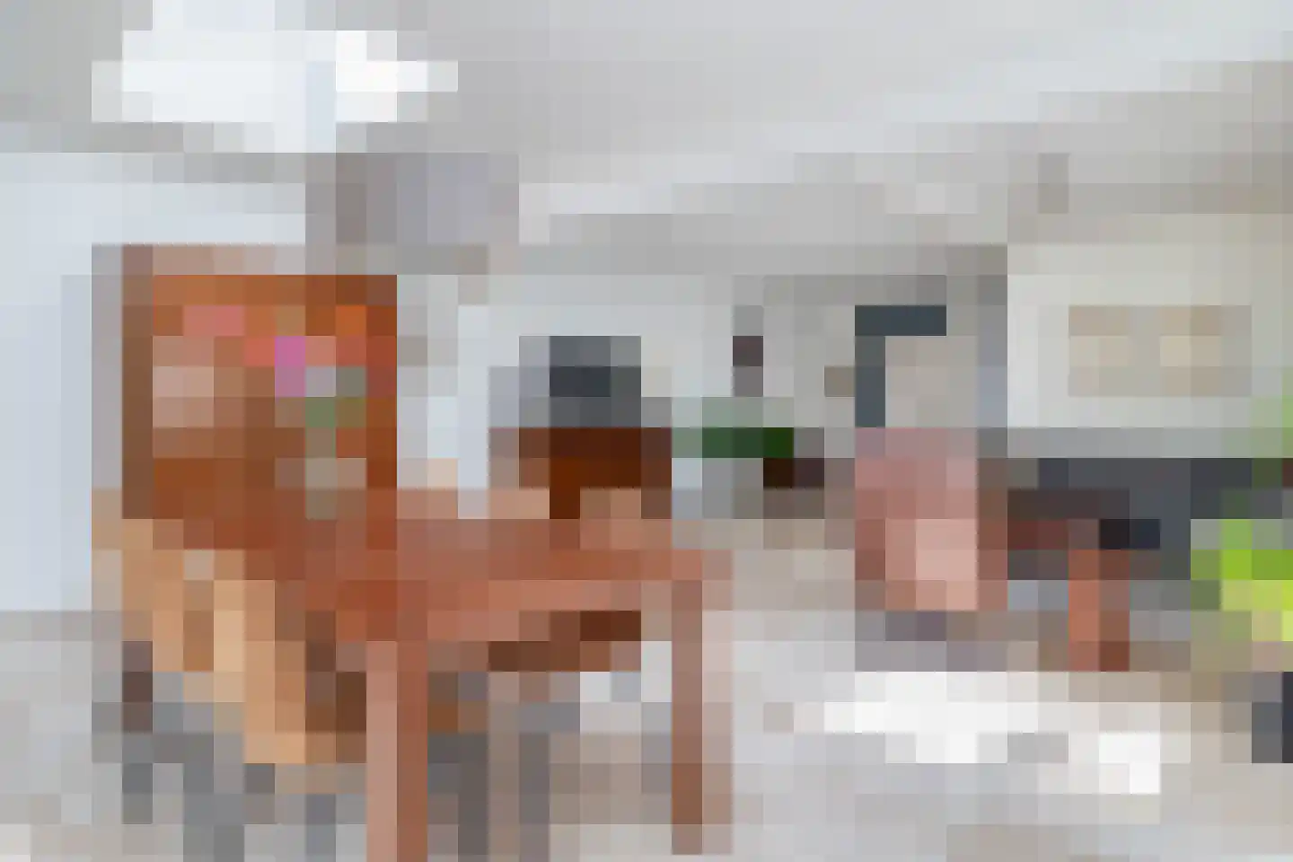 Mereldonk 1 Veghel thumbnail 5
