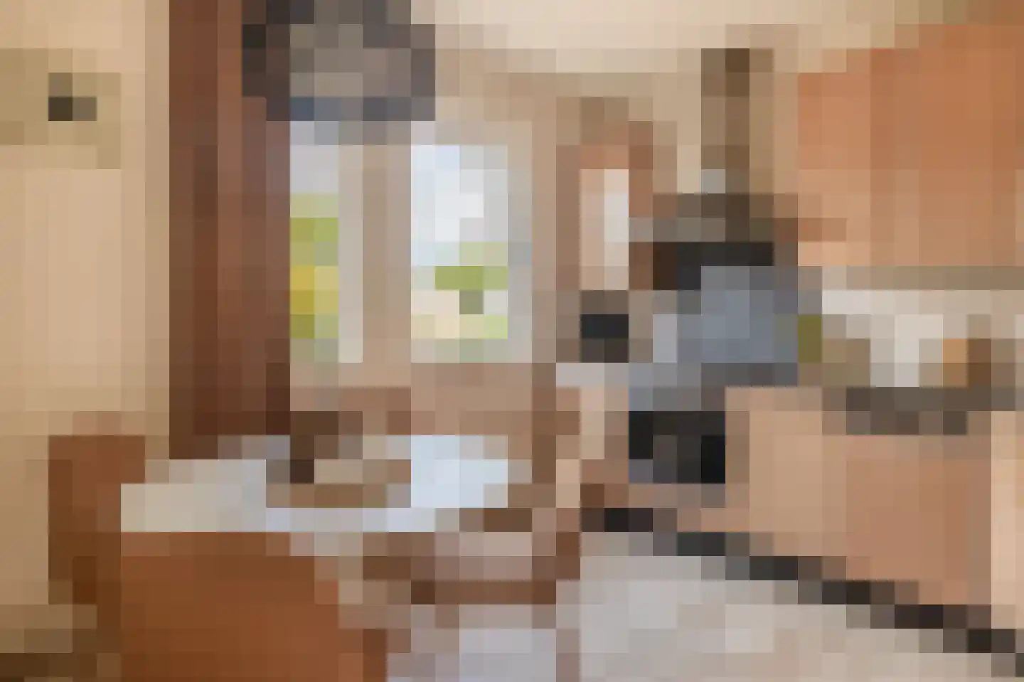 Mereldonk 1 Veghel thumbnail 8