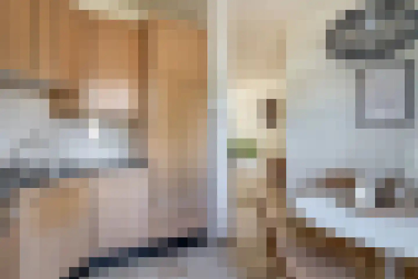 Mereldonk 1 Veghel thumbnail 9
