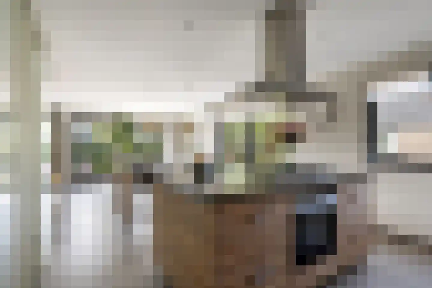 Merelerf 15 Numansdorp thumbnail 11
