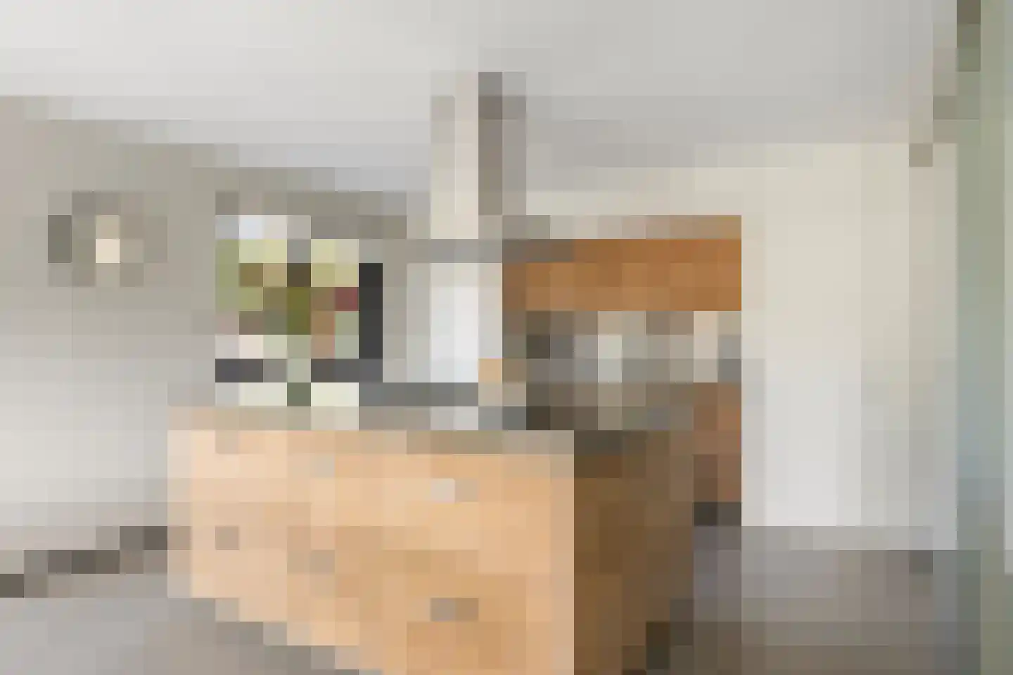 Merelerf 15 Numansdorp thumbnail 12