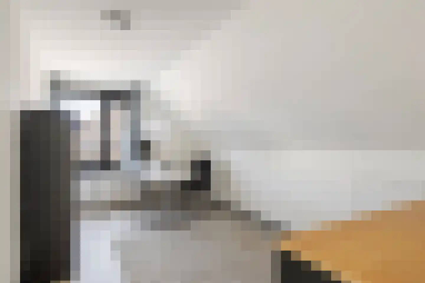 Merelerf 15 Numansdorp thumbnail 28