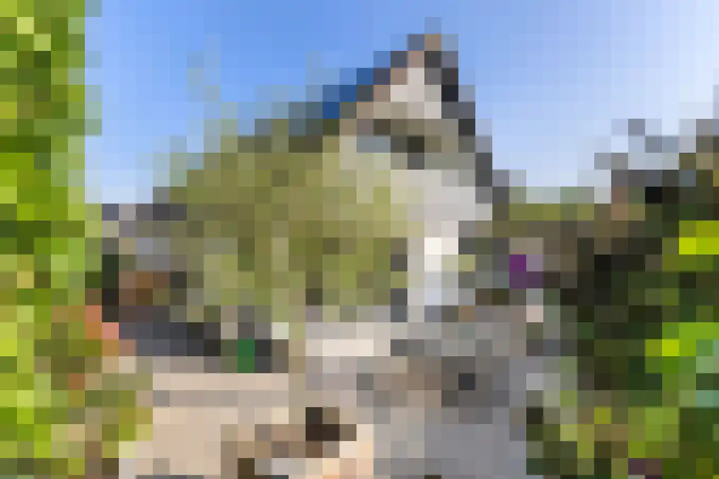 Merelerf 15 Numansdorp thumbnail 34