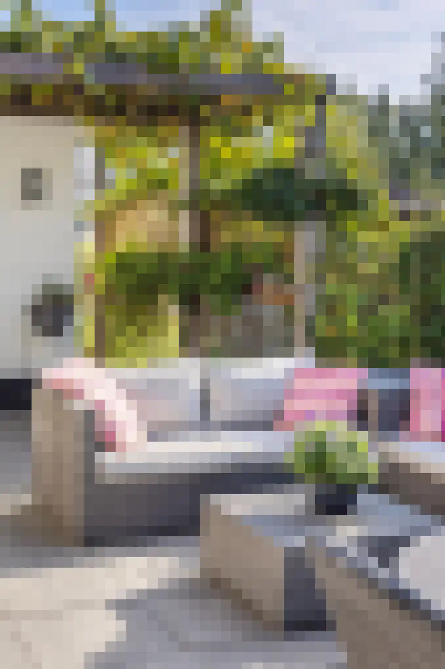 Merelerf 15 Numansdorp thumbnail 38