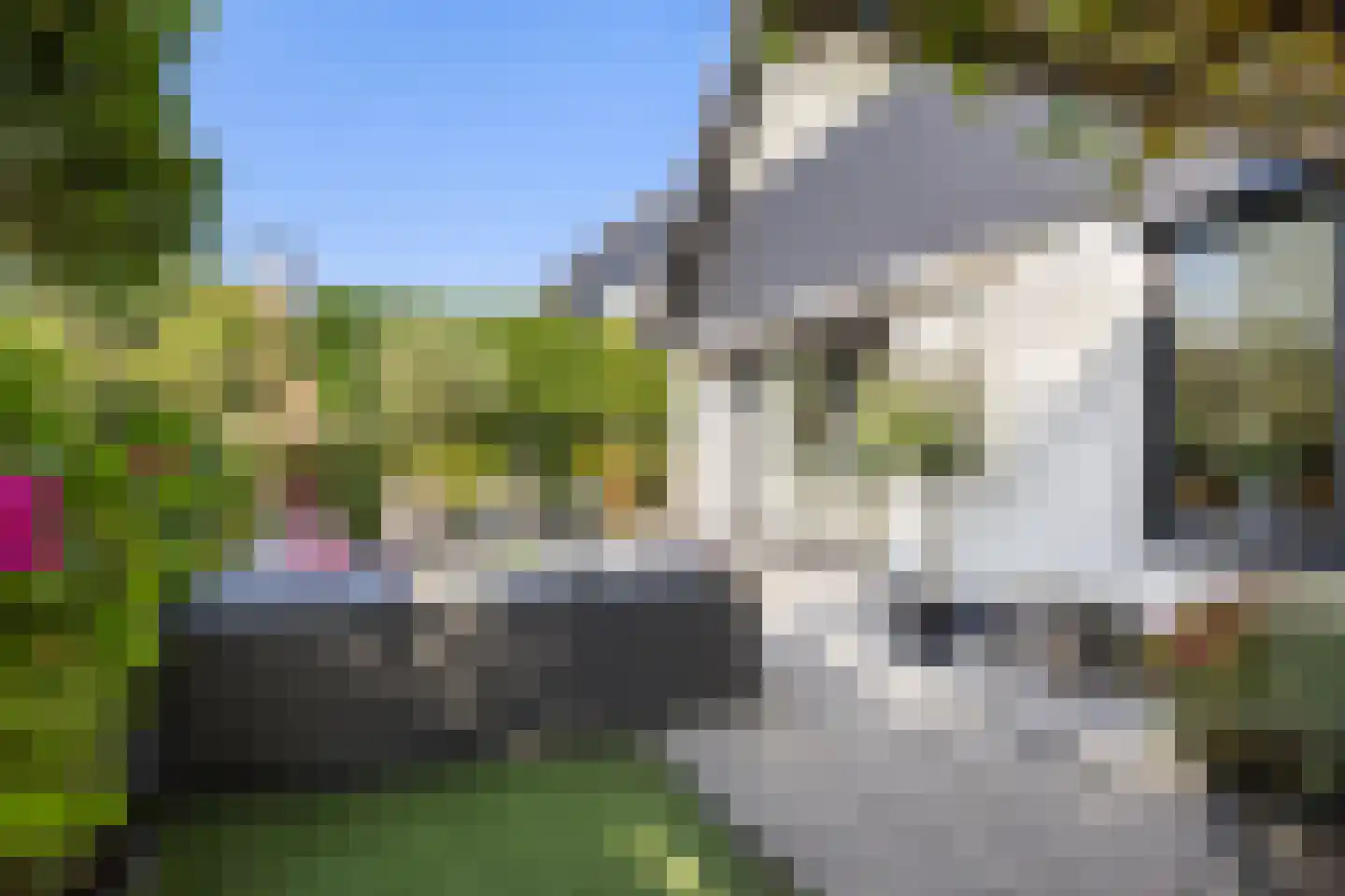 Merelerf 15 Numansdorp thumbnail 39
