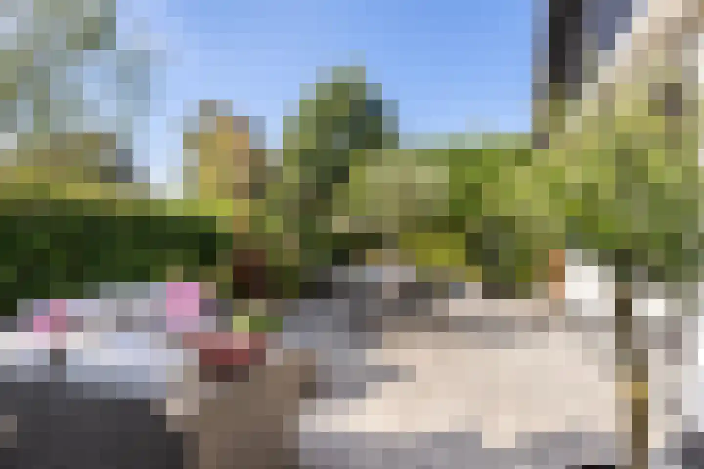 Merelerf 15 Numansdorp thumbnail 4