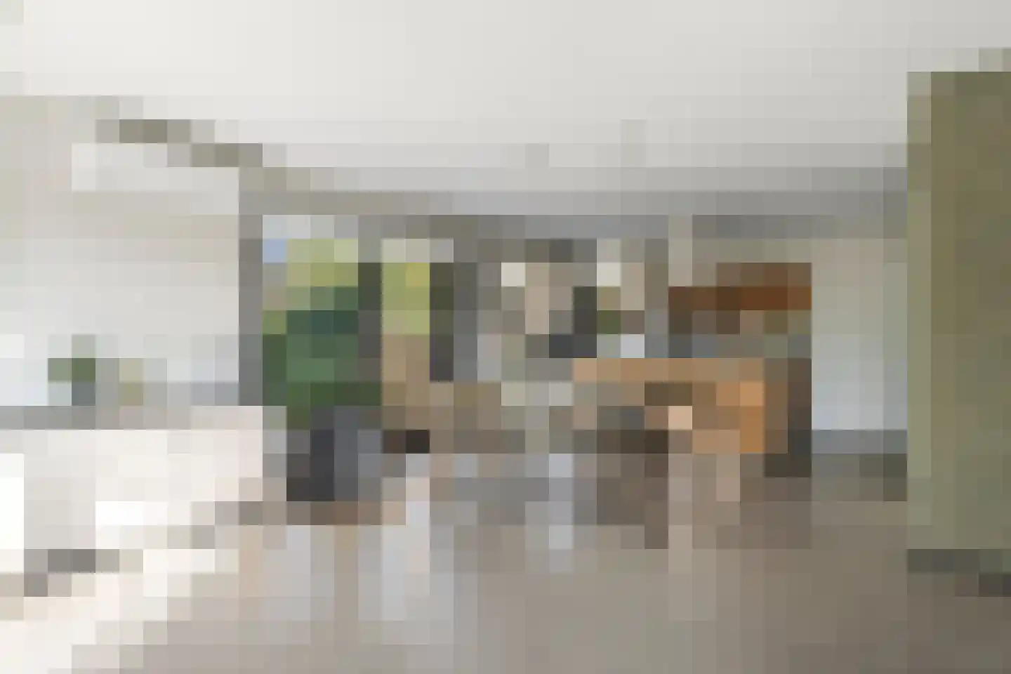 Merelerf 15 Numansdorp thumbnail 7