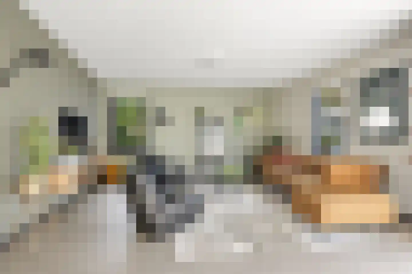 Merelerf 15 Numansdorp thumbnail 8