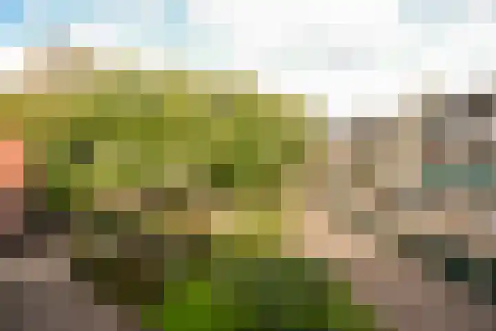 Merelhof 12 Baarn thumbnail 12