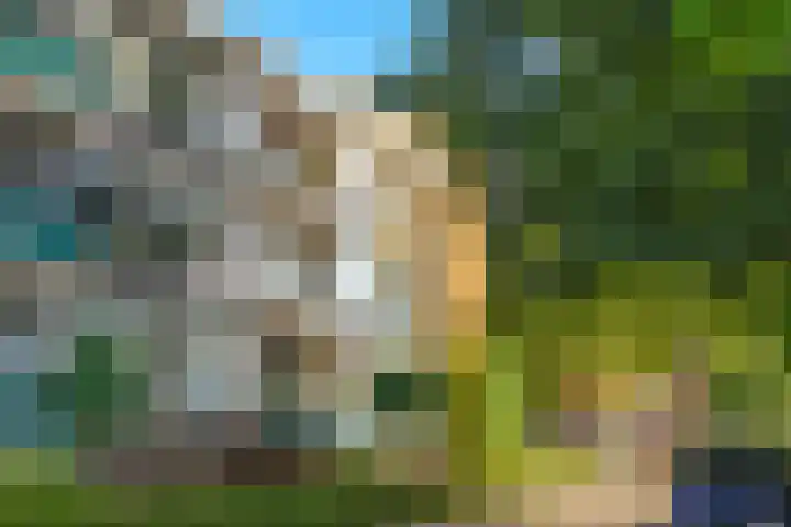 Merelhof 12 Baarn foto 2