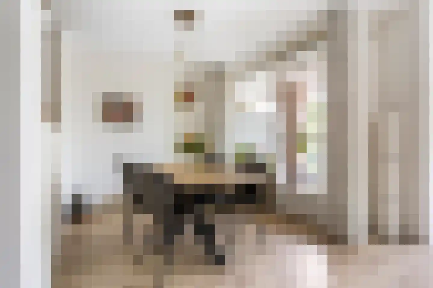 Merelhof 123 Voorschoten thumbnail 12