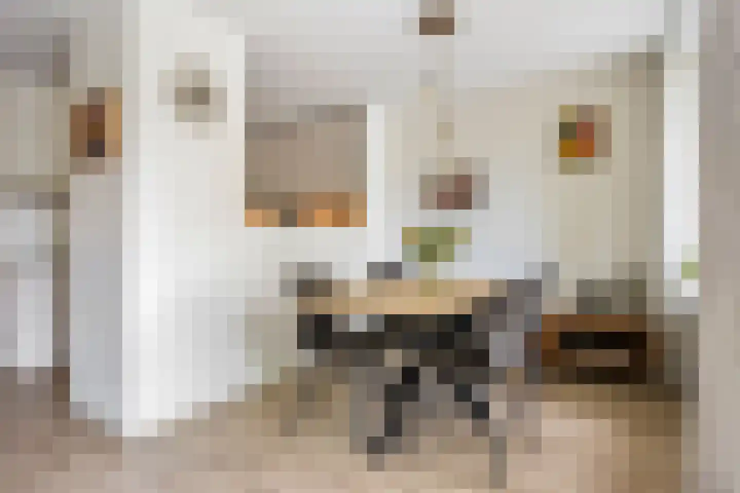 Merelhof 123 Voorschoten thumbnail 13