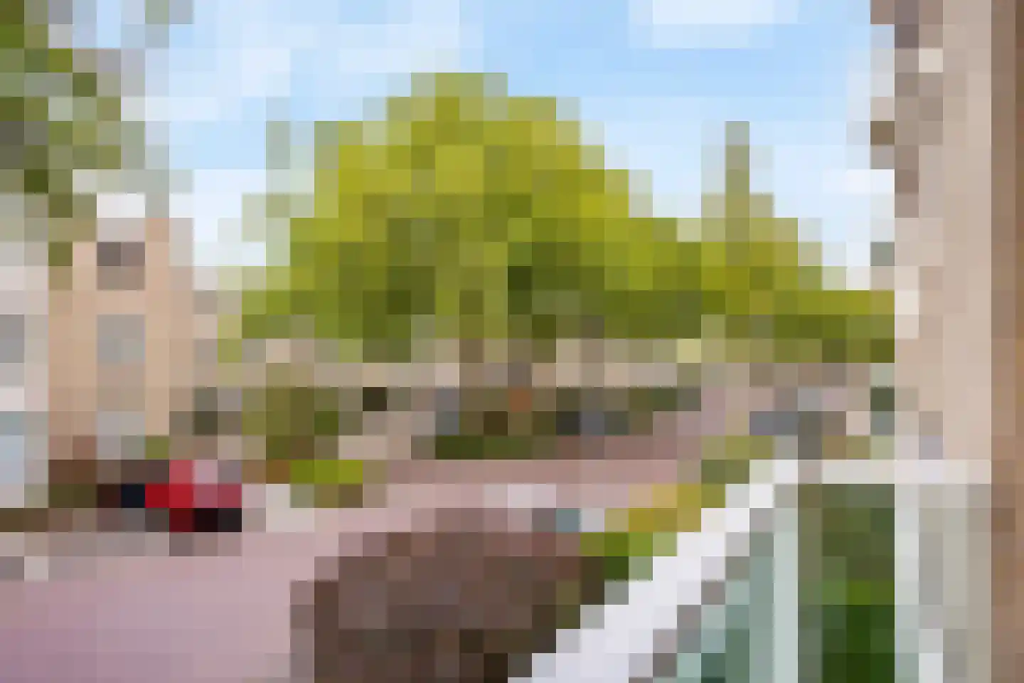 Merelhof 123 Voorschoten thumbnail 17