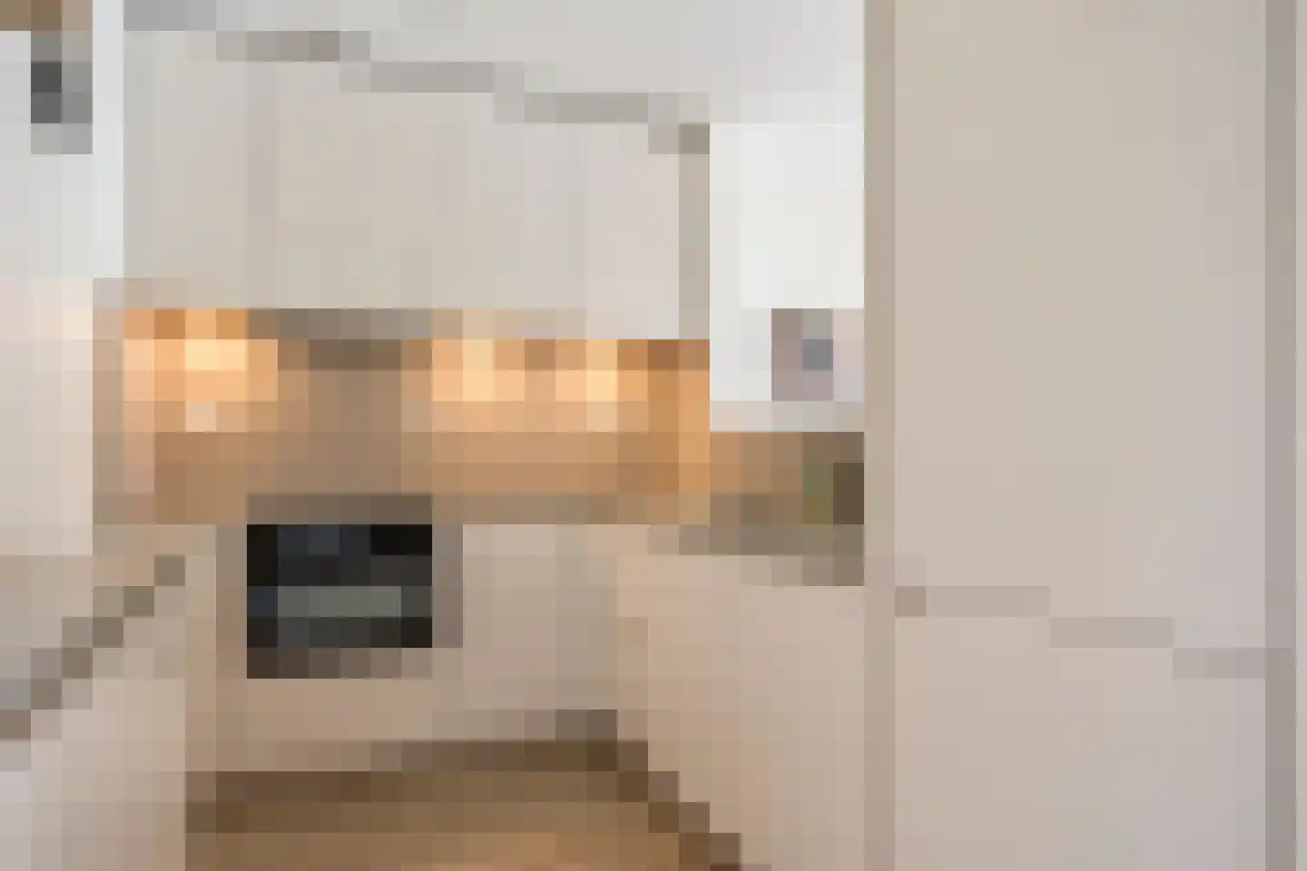 Merelhof 123 Voorschoten thumbnail 19