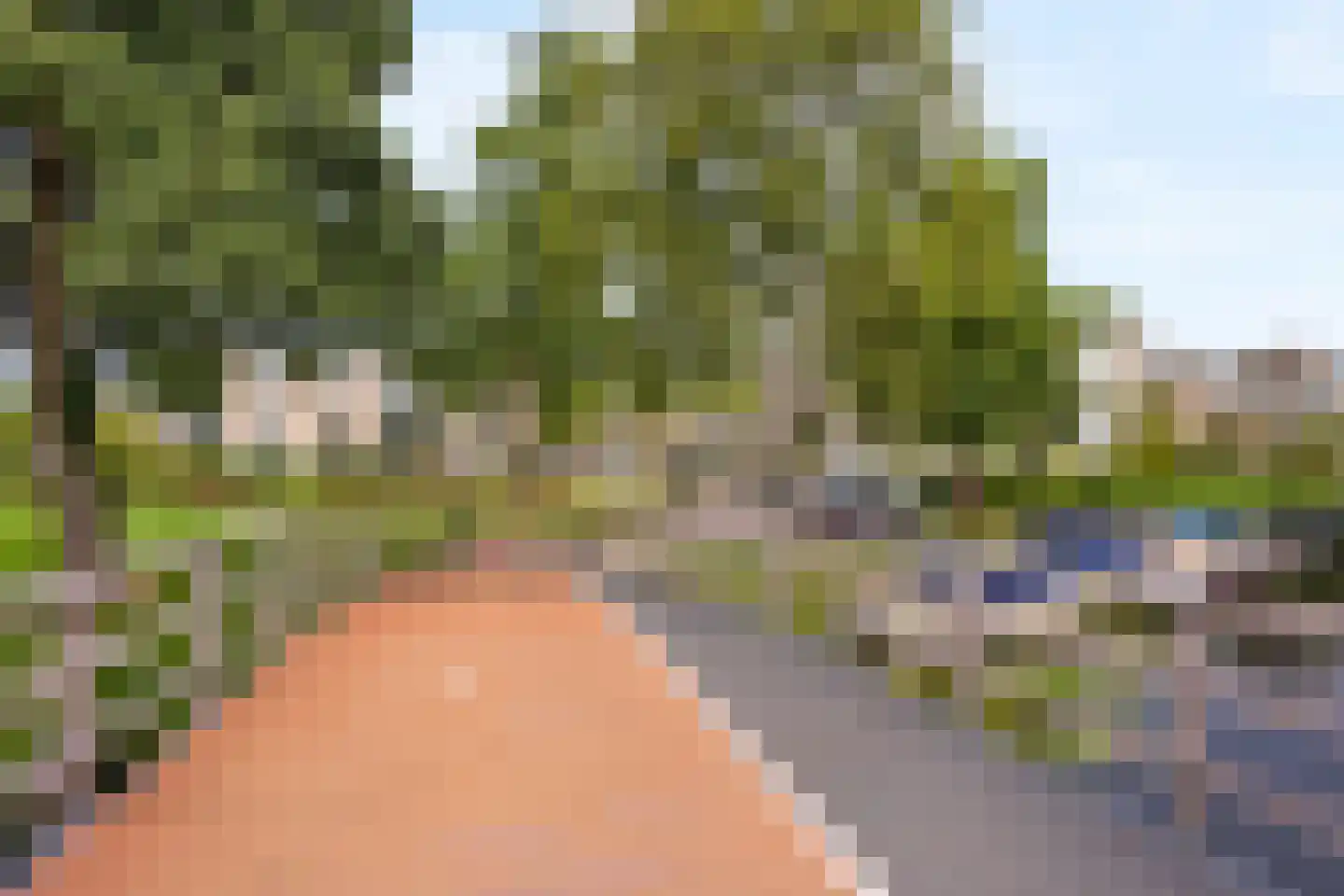 Merelhof 123 Voorschoten thumbnail 46