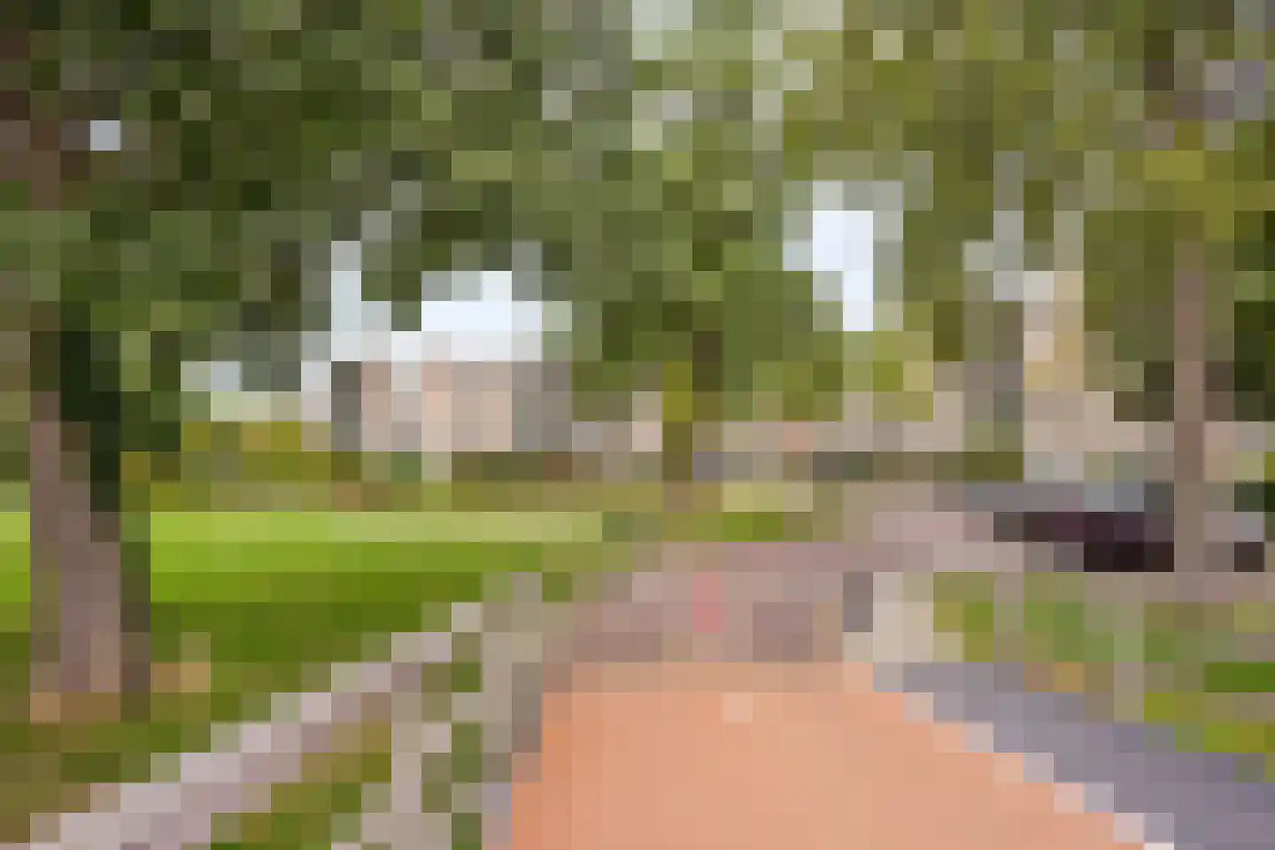 Merelhof 123 Voorschoten thumbnail 49