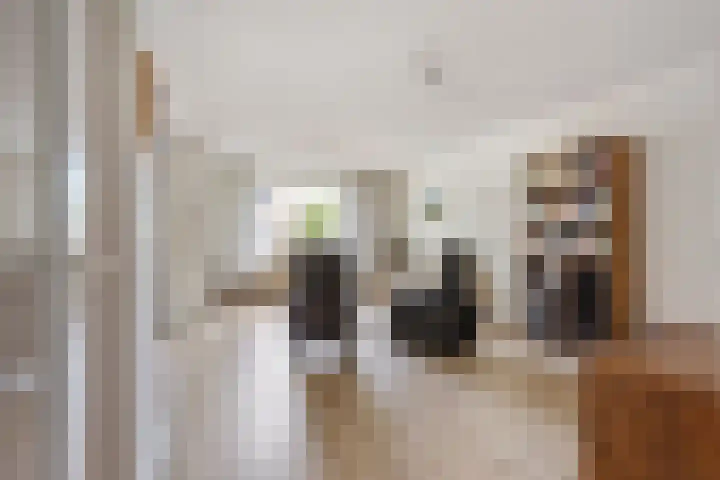 Merelhof 123 Voorschoten thumbnail 9