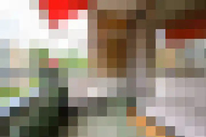 Merelhof 15 Bussum thumbnail 10