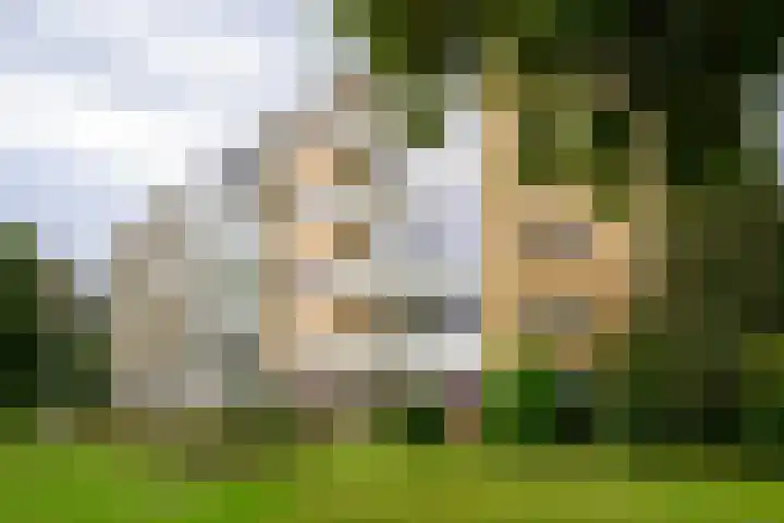 Merelhof 15 Bussum thumbnail 23