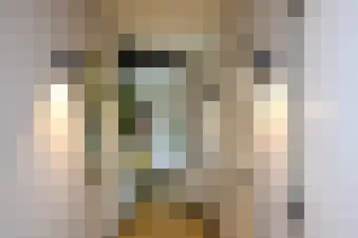 Merelhof 15 Bussum thumbnail 4