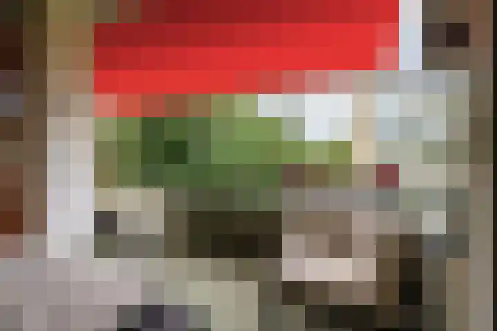 Merelhof 15 Bussum thumbnail 9