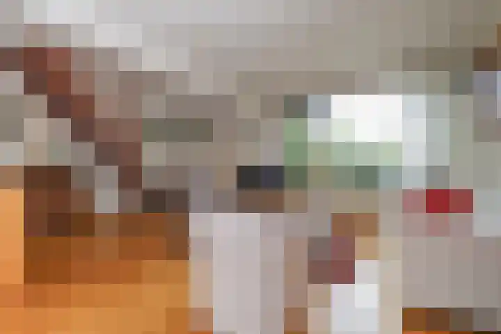 Merelhof 15 Rockanje thumbnail 15