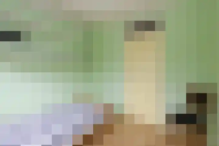 Merelhof 15 Rockanje thumbnail 32