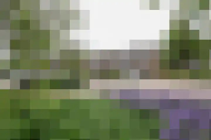 Merelhof 15 Rockanje thumbnail 4