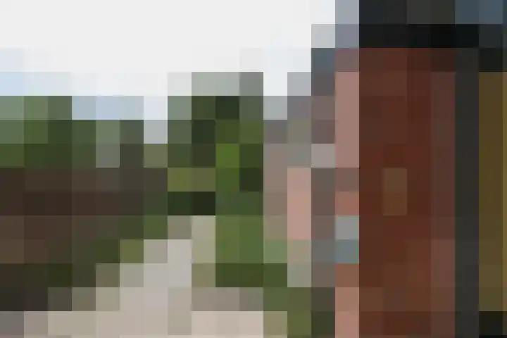 Merelhof 15 Rockanje thumbnail 41