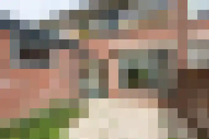 Merelhof 15 Rockanje thumbnail 43