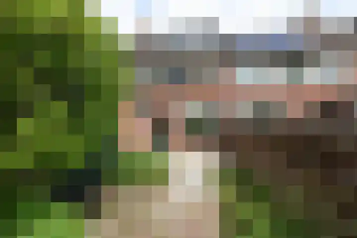 Merelhof 15 Rockanje thumbnail 44