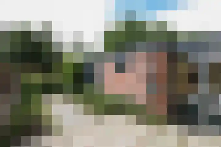 Merelhof 15 Rockanje thumbnail 46