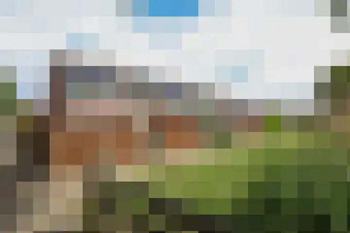 Merelhof 15 Rockanje thumbnail 48