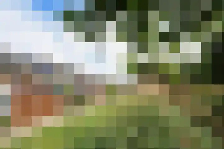 Merelhof 15 Rockanje thumbnail 49