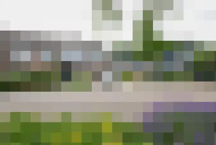 Merelhof 15 Rockanje thumbnail 5