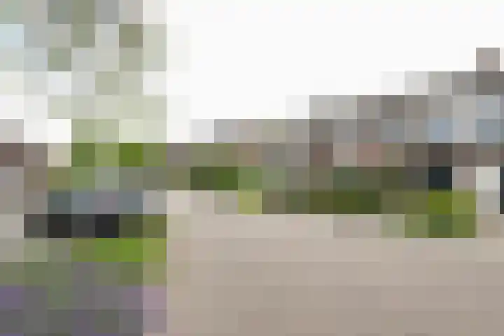 Merelhof 15 Rockanje thumbnail 6